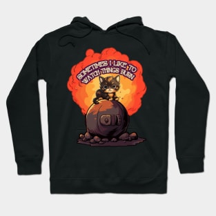 Sometimes I like to watch things burn - tortie cat Hoodie